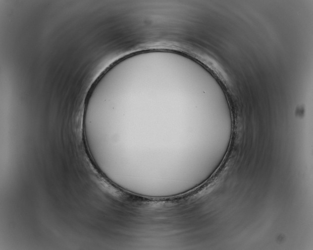 X0000101181228200807250932