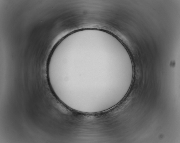 X0000101181230200807250932