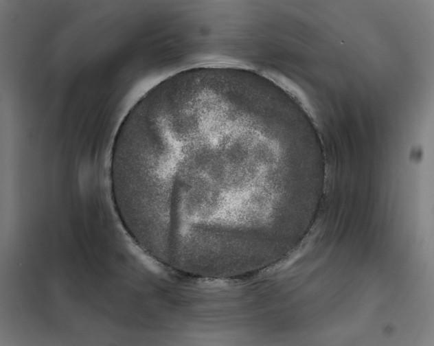 X0000101181231200807250932