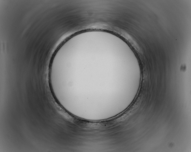 X0000101181232200807250932