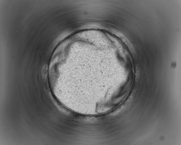 X0000101181233200807250932