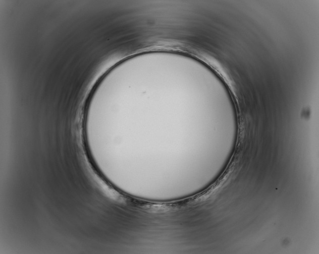 X0000101181235200807250932