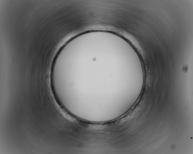 X0000101181237200807250932