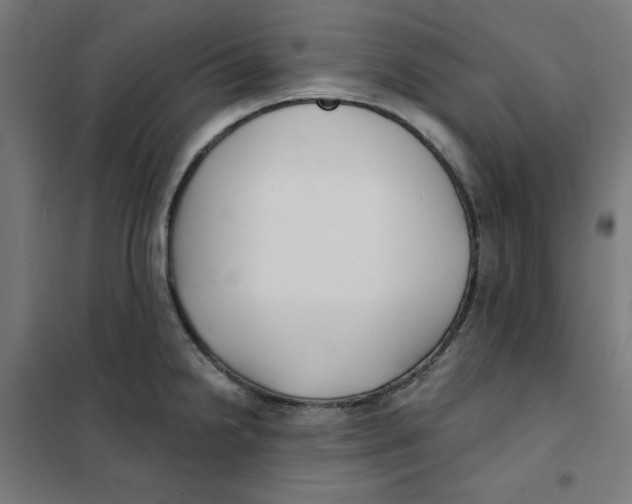 X0000101181238200807250932