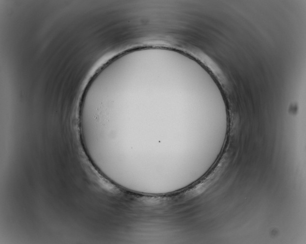 X0000101181240200807250932