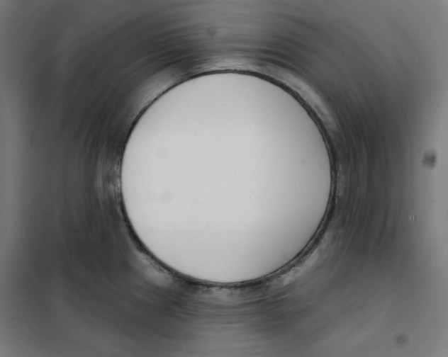 X0000101181241200807250932