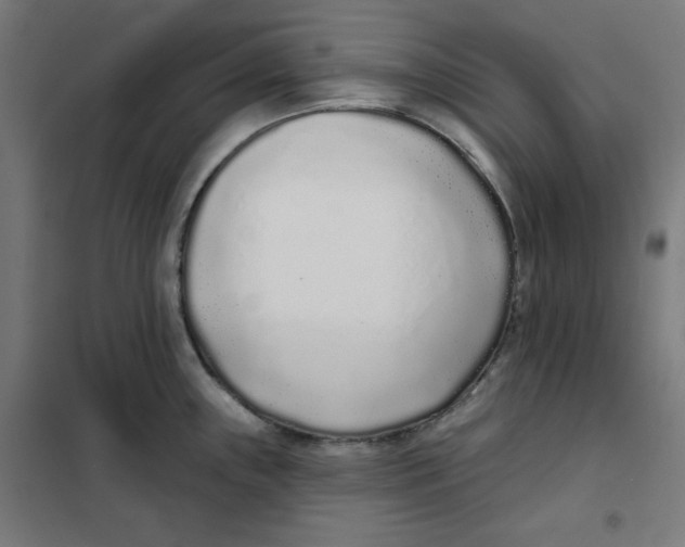 X0000101181243200807250932