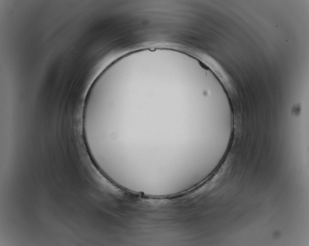 X0000101181244200807250932