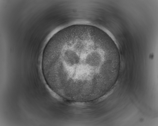 X0000101181245200807250932