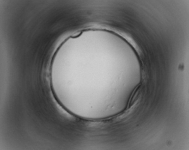 X0000101181247200807250932