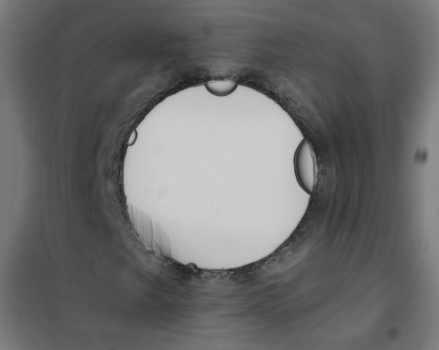 X0000101181249200807250932