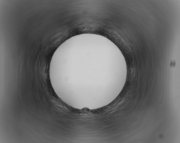 X0000101181250200807250932