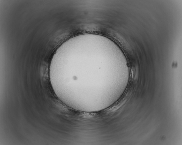 X0000101181251200807250932