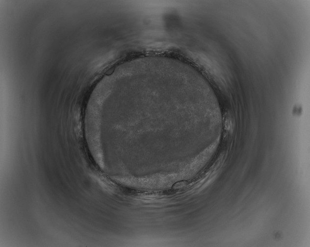 X0000101181252200807250932