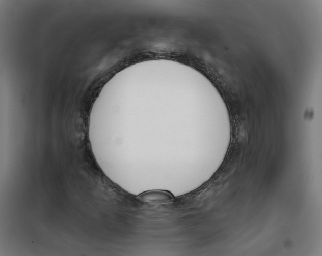 X0000101181253200807250932