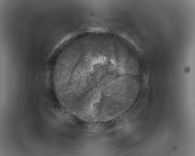 X0000101181254200807250931