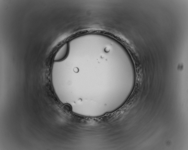 X0000101181255200807250931