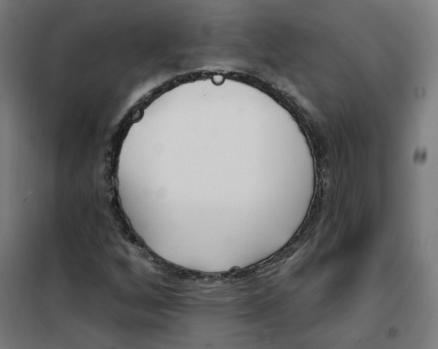 X0000101181256200807250931