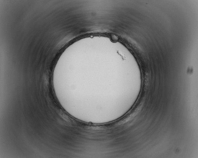 X0000101181257200807250931