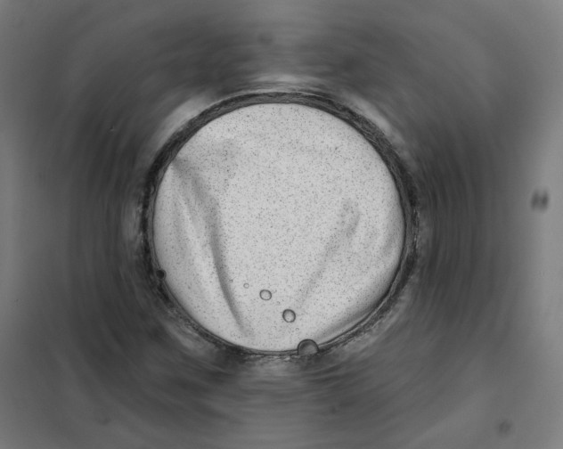 X0000101181259200807250931