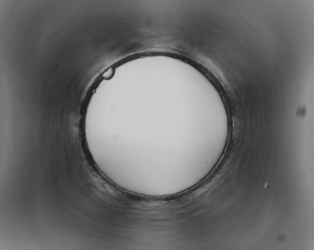 X0000101181260200807250931