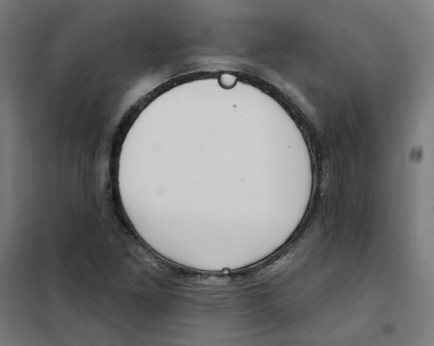 X0000101181261200807250931