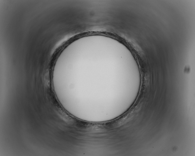 X0000101181262200807250931