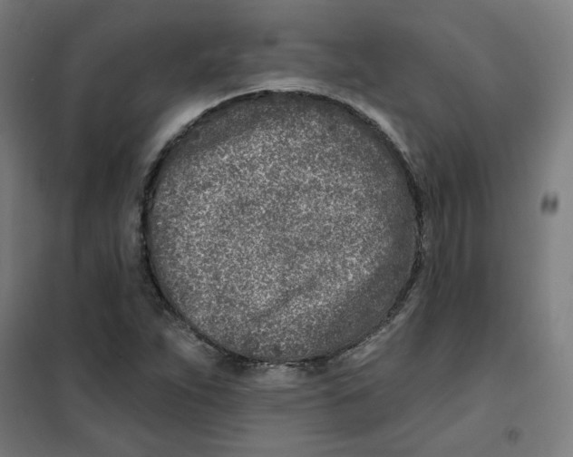 X0000101181263200807250931