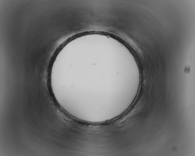 X0000101181264200807250931