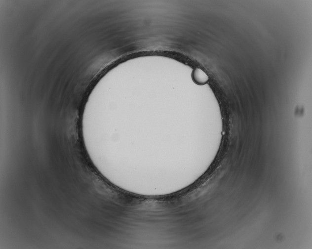 X0000101181265200807250931