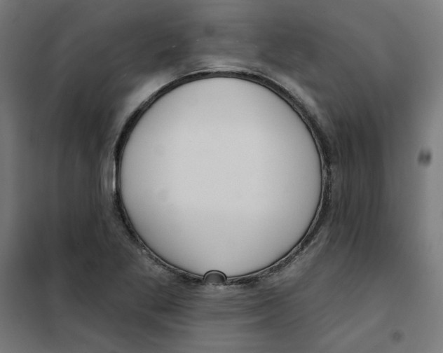 X0000101181269200807250931