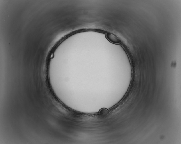 X0000101181270200807250931