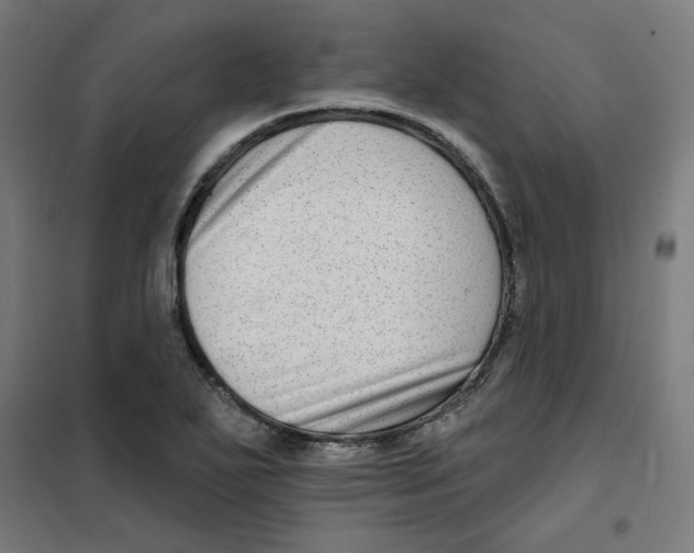 X0000101181271200807250931