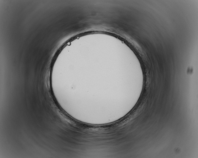 X0000101181272200807250931