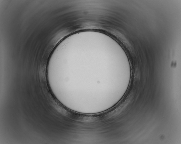 X0000101181273200807250931