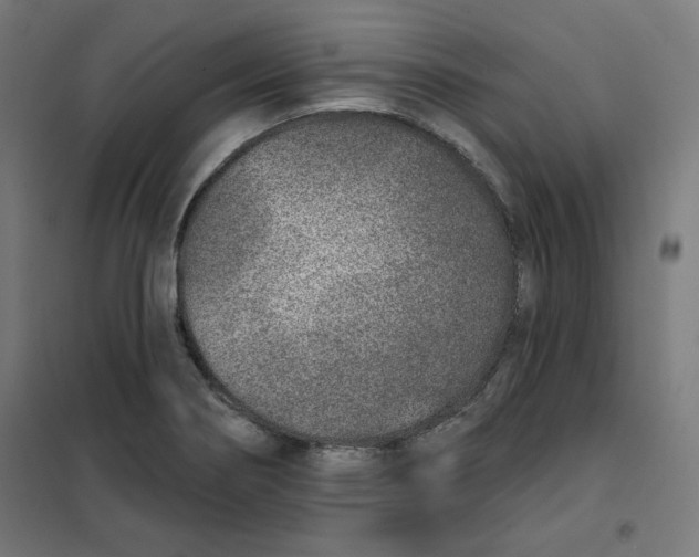 X0000101181274200807250931