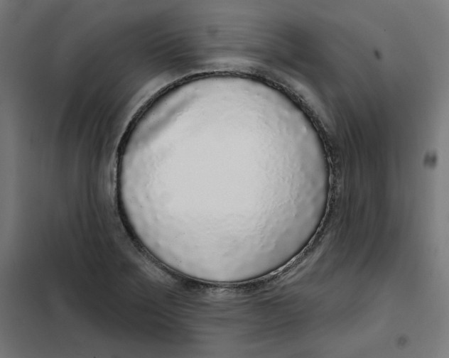 X0000101181275200807250931