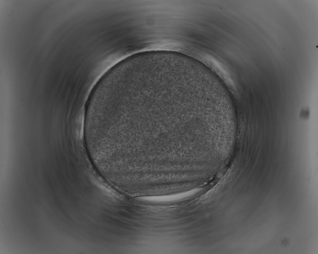 X0000101181276200807250931