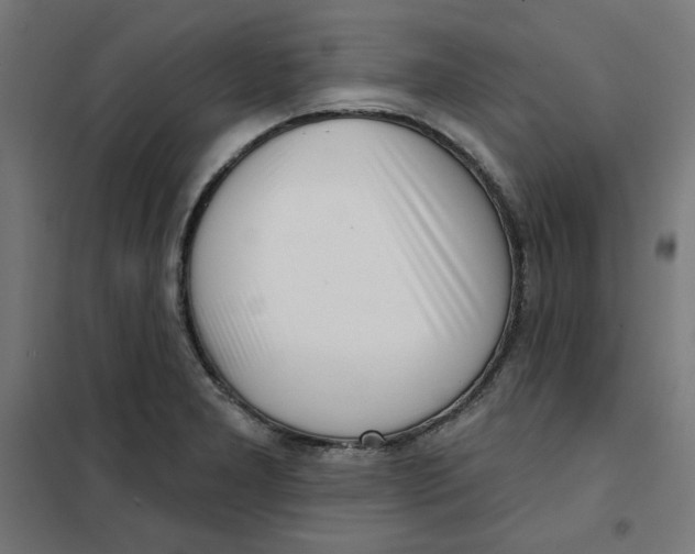 X0000101181277200807250931