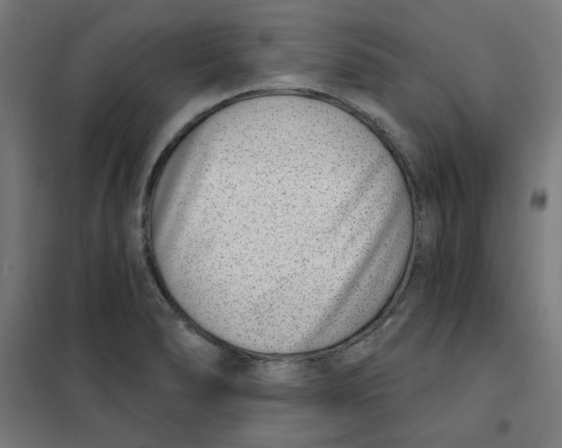 X0000101181278200807250931