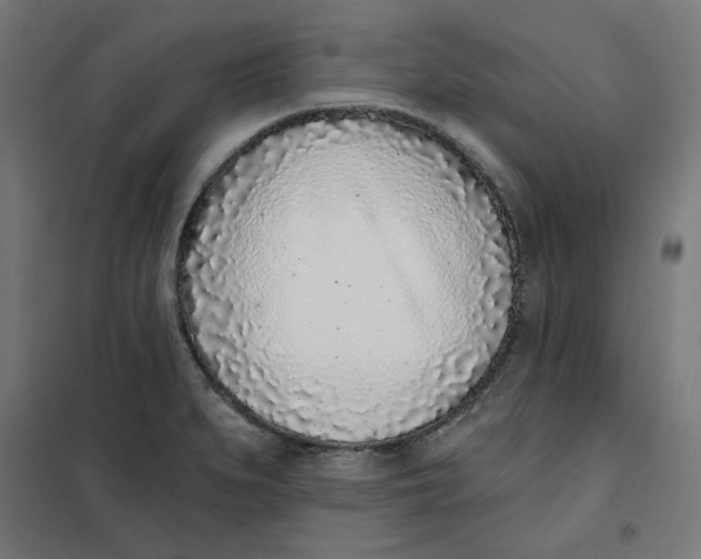 X0000101181279200807250931