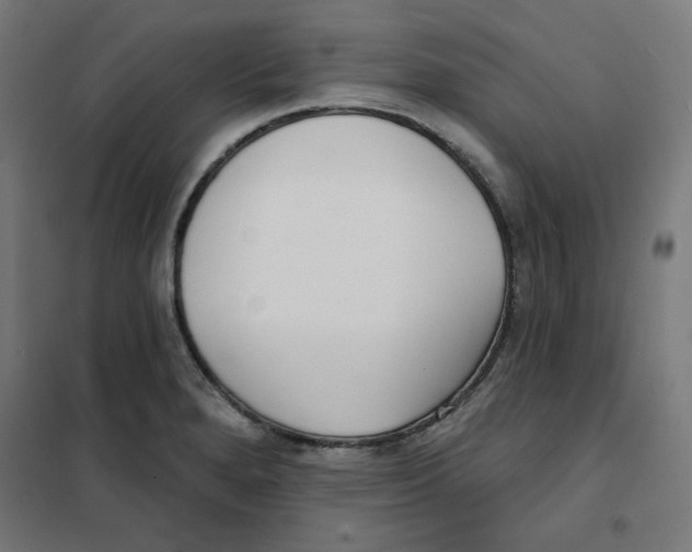 X0000101181280200807250931