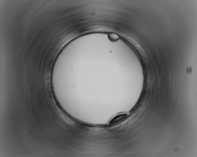 X0000101181281200807250931