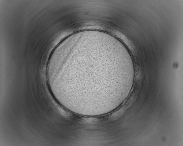 X0000101181282200807250931