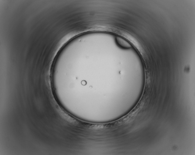 X0000101181283200807250931