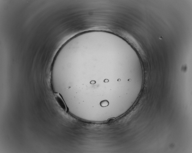 X0000101181284200807250931