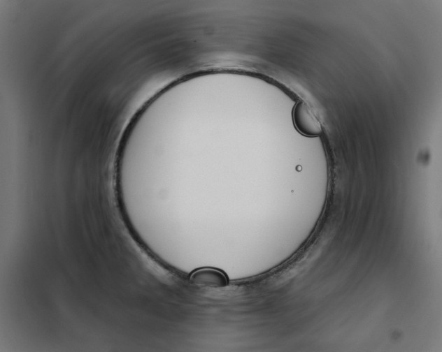 X0000101181285200807250931