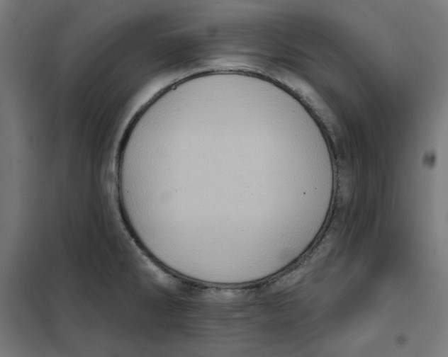 X0000101181286200807250931