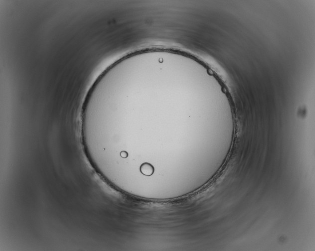 X0000101181287200807250931