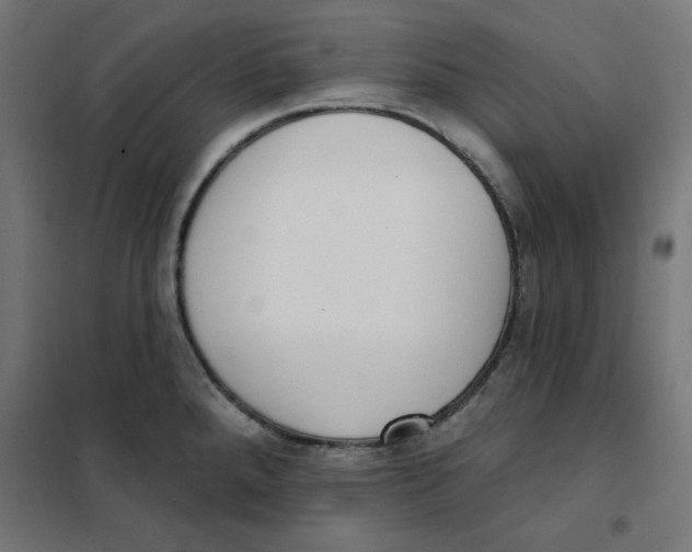 X0000101181288200807250931